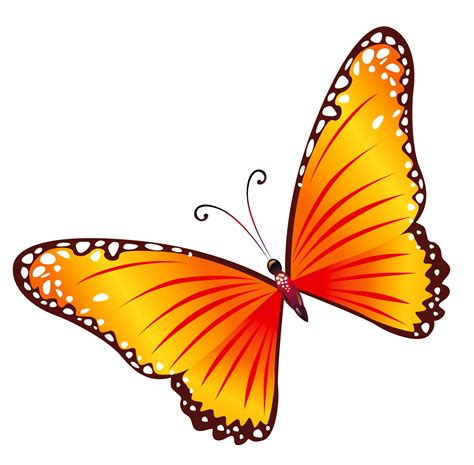 butterfly clip art